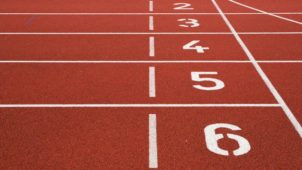 Meilleur nootropique 2026 : notre classement, critères à l’appui