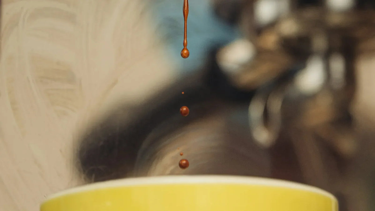 Nootropique ou café : ce qui change vraiment le matin, dans la même unité